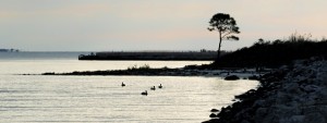 Mouth of Mobile Bay Area ftmorgan1websized