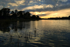 Langan Park, Mobile, AL _MG_0140-copywsav
