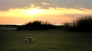Ft Morgan Area