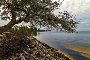 Mobile Bay