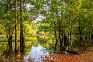 Black Lake