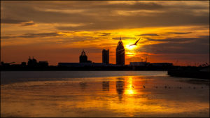 Skyline and Sky Fire
