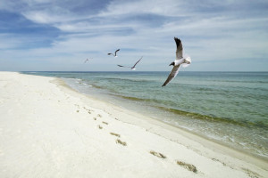 Bon Secour NWR Beach
