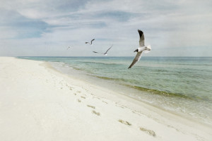 Footprints (textured image)