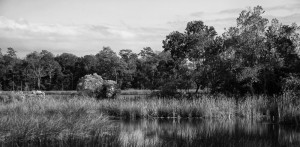 Fowl River