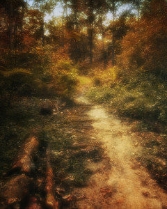 Garden Path