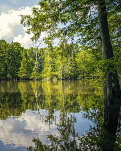 Graham Lake Mississippi