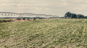 Baldwin County Farm