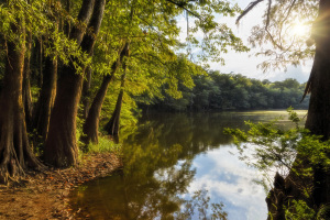 Horseshoe Lake