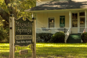 Magnolia Springs B & B