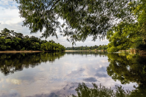 Pascagoula River