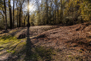 Red Hills Spring