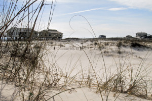 Cabins Cabins on the Shore
