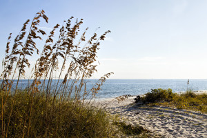 Bird Sanctuary Beach