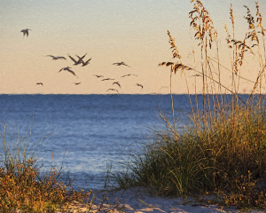 Painterly Beach