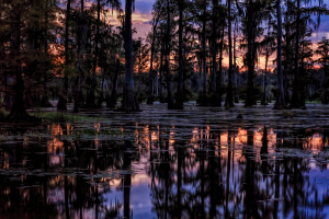 Indian Creek Mississippi WMA