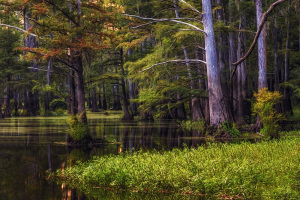 Lake Luther Mississippi WMA