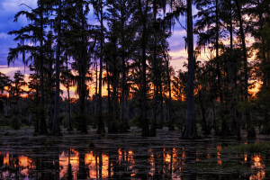 Indian Creek